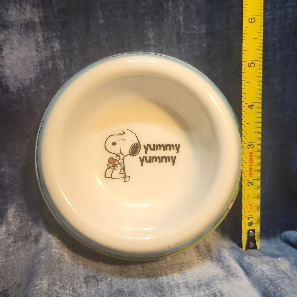 Blue and Green Dog Bowl